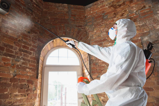 Best Biohazard Mold Removal  in Wolfhurst, OH